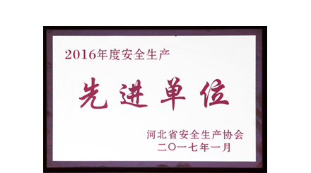 集团公司荣获河北省2016年度安全生产先进单位称号